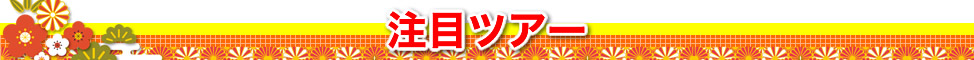 注目ツアー