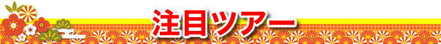 注目ツアー