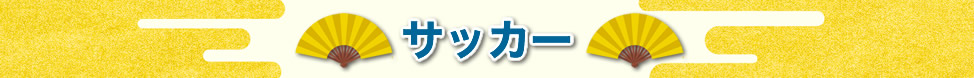 サッカー観戦ツアー