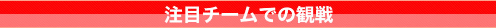 バスケットボール観戦ツアー