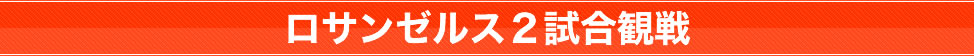 バスケットボール観戦ツアー