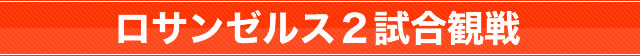 バスケットボール観戦ツアー