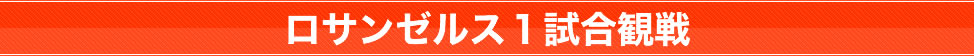 バスケットボール観戦ツアー