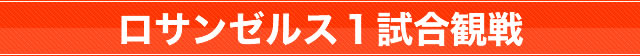 バスケットボール観戦ツアー