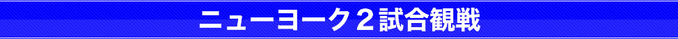 バスケットボール観戦ツアー