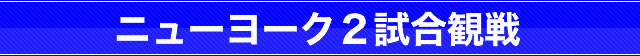 バスケットボール観戦ツアー