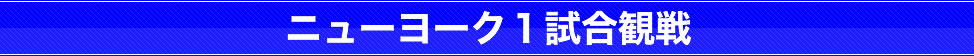バスケットボール観戦ツアー
