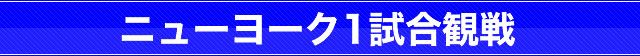 バスケットボール観戦ツアー