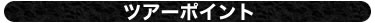 ツアーポイント