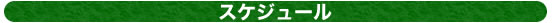 スケジュール