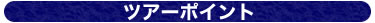 ツアーポイント