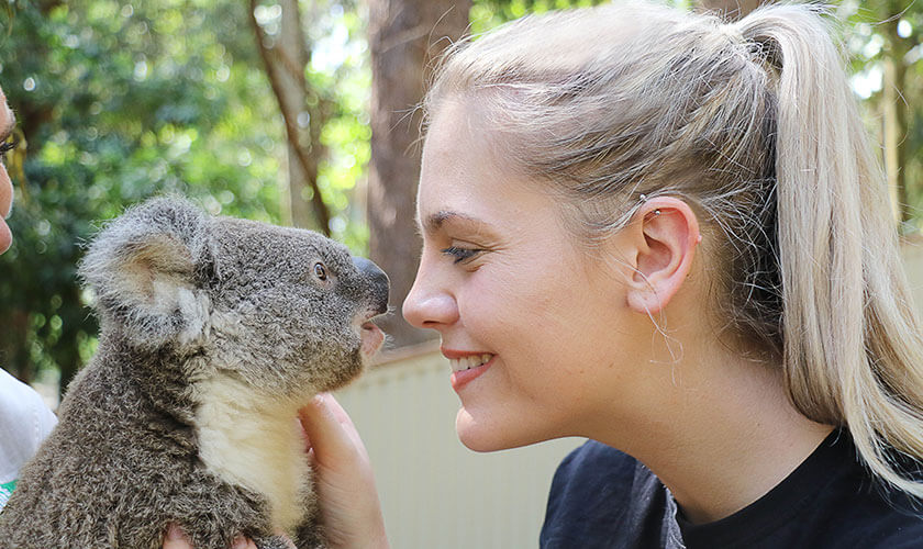 カランビン・ワイルドライフ
サンクチュアリー自然動物公園（イメージ）