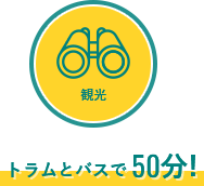 トラムとバスで50分