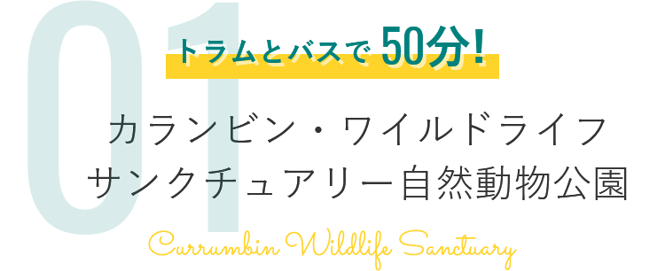 カランビン・ワイルドライフ サンクチュアリー自然動物公園