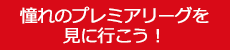サッカーツアー