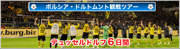 新生bvb 悲願の王座奪回へ 東京発着 ボルシア ドルトムント観戦ツアー デュッセルドルフ6日間 サッカー観戦ツアーなら His