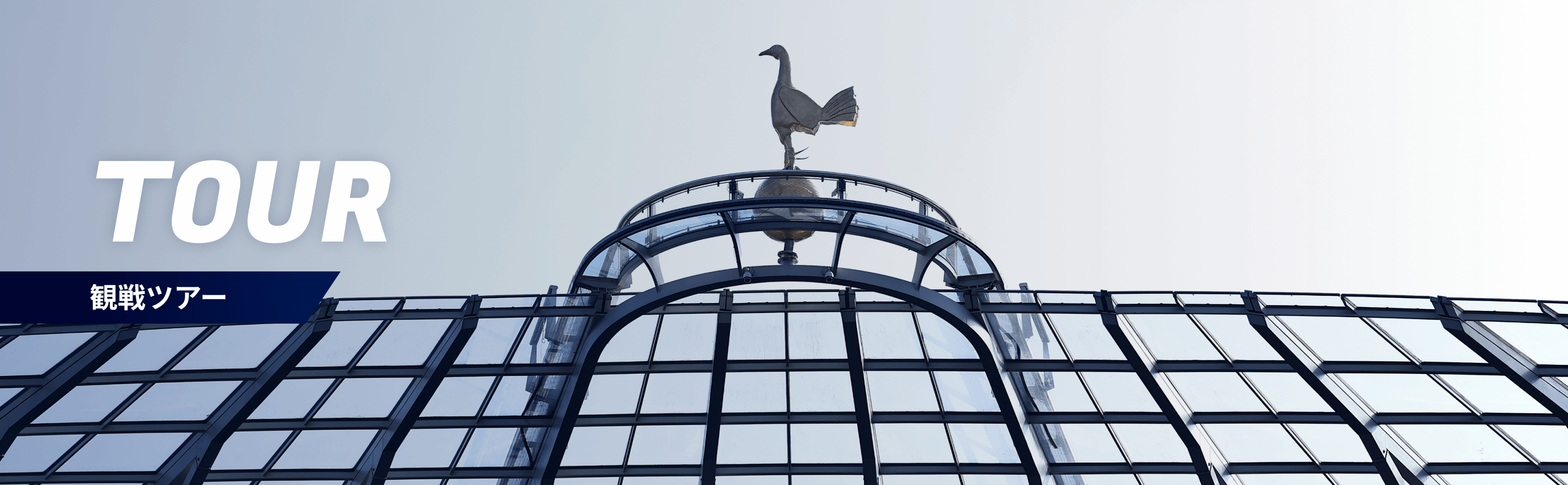 TOUR 観戦ツアー