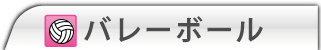 バレーボール